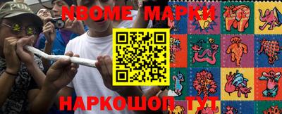 индика Новодвинск