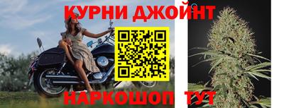 индика Новодвинск