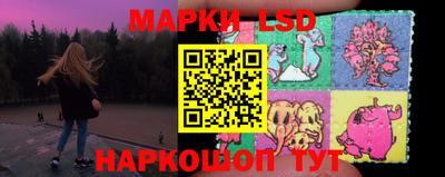 индика Новодвинск