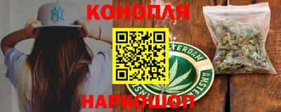 индика Новодвинск