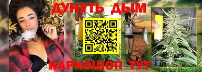 индика Новодвинск
