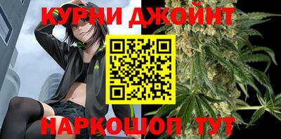 индика Новодвинск