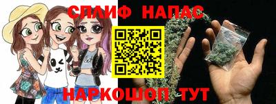 индика Новодвинск