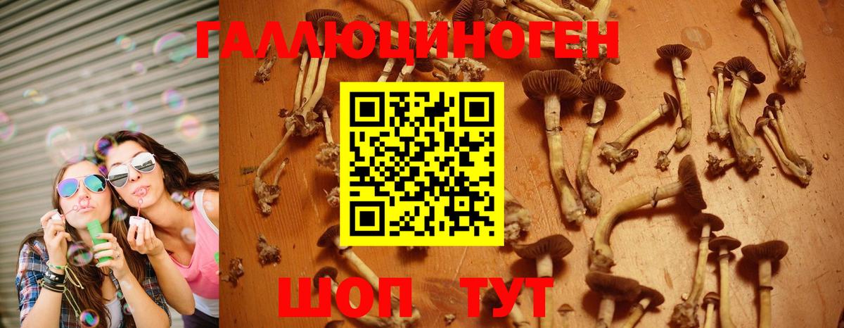 Строитель  Псилоцибиновые грибы Magic Shrooms  Вход с VPN 